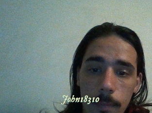 John18310