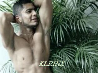 KLEINX