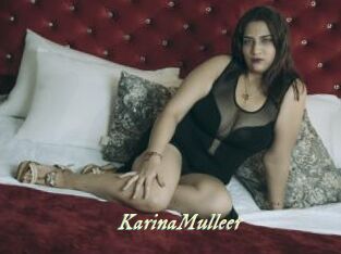 KarinaMulleer