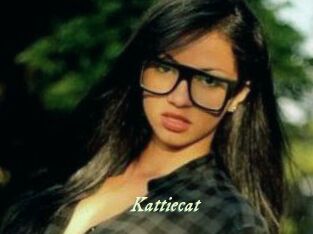 Kattiecat