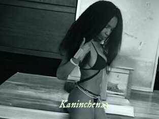 Kaninchen23