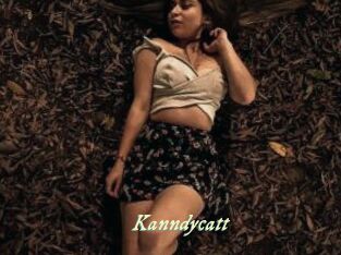 Kanndycatt