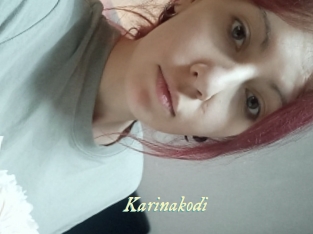 Karinakodi
