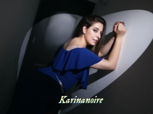 karinanoire Année du sexe