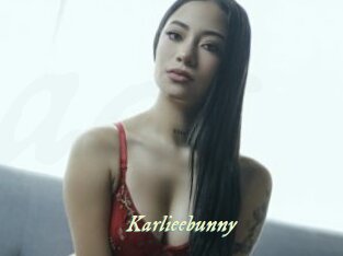 Karlieebunny