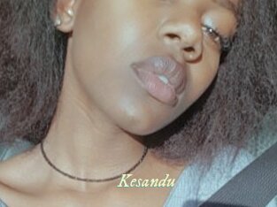Kesandu