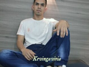 Kevingaviria