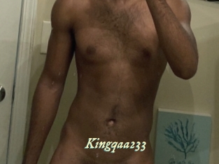 Kingqaa233