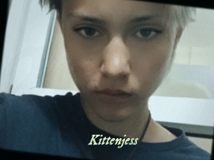 Kittenjess