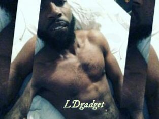 LDgadget