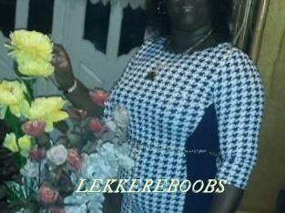 LEKKEREBOOBS Année du sexe
