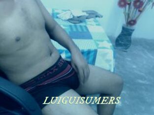 LUIGUISUMERS