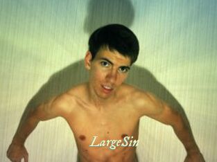 LargeSin