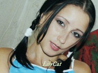 Lily_Cat_