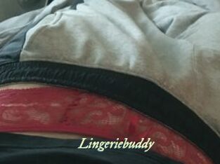 Lingeriebuddy
