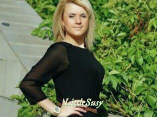 LittleSusy