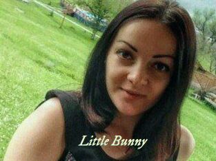 Little_Bunny_