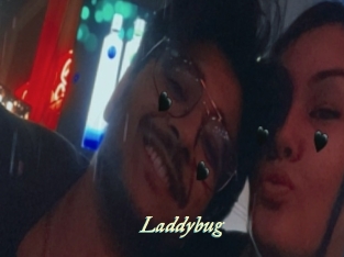 Laddybug