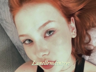 Lanellemcintrye