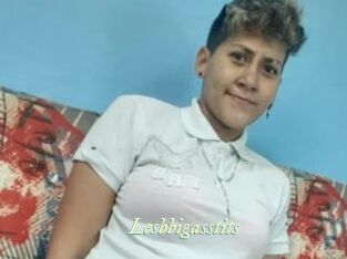 Lesbbigasstits