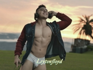 leytonfloyd Année du sexe