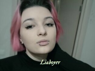 Liaboyer