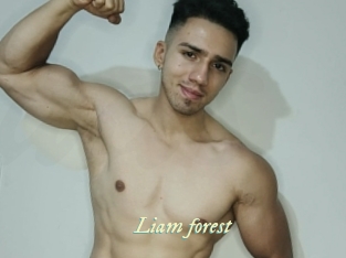 Liam_forest