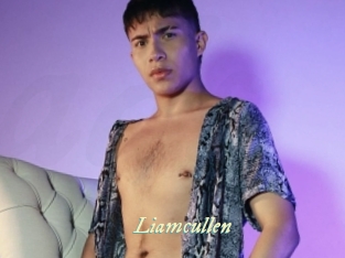 Liamcullen