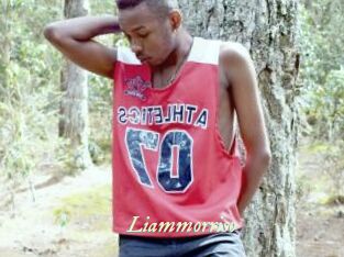 Liammorriso