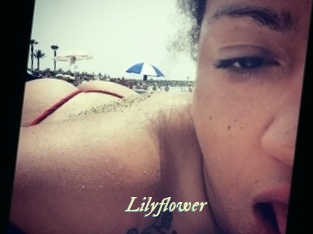 lilyflower Année du sexe