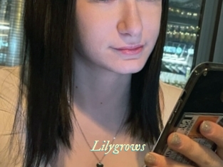 lilygrows Année du sexe