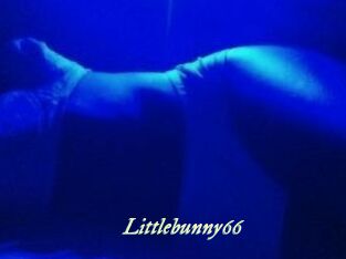 Littlebunny66