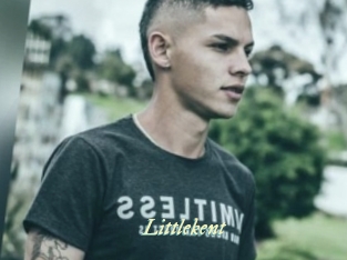 littlekent Année du sexe