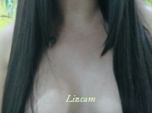 Lizcam