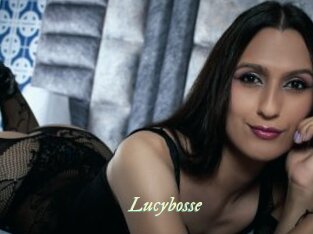 Lucybosse