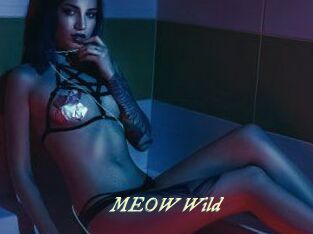 MEOW_Wild