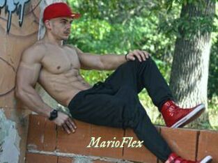 MarioFlex