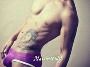 Martin_Wolfl