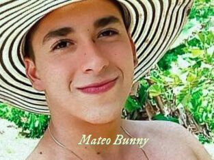 Mateo_Bunny