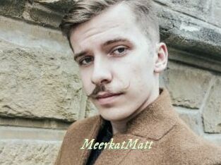 MeerkatMatt Année du sexe