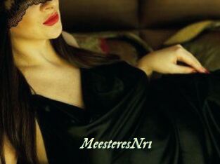MeesteresNr1