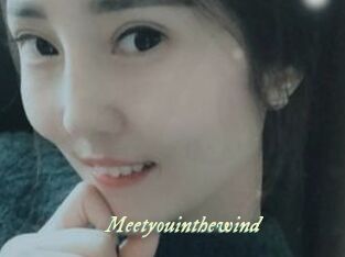 Meetyouinthewind