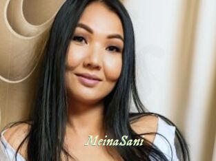 MeinaSani
