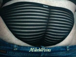 Mikeblevins