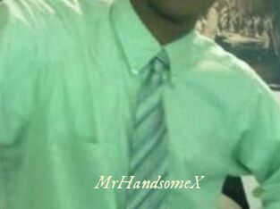 MrHandsomeX