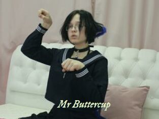 Mr_Buttercup