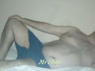 Mr_Hobbs