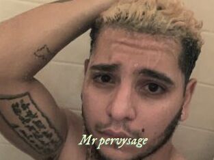 Mr_pervysage Année du sexe