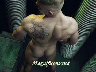 Magnificentstud