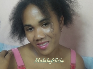 malalafelicia Année du sexe